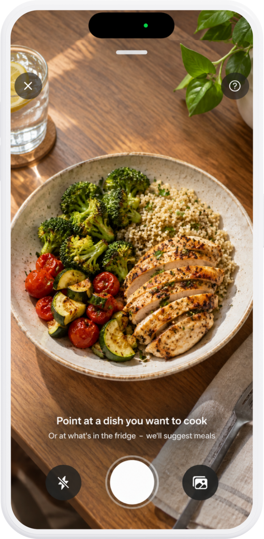 Mealio camera pointed at a plate of grilled chicken, couscous and roasted vegetables, with the prompt: point at a dish you want to cook, or at what's in the fridge.